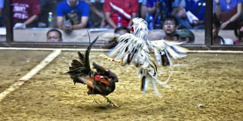 tk88 ﻿đăng nhập lô đề uy tín