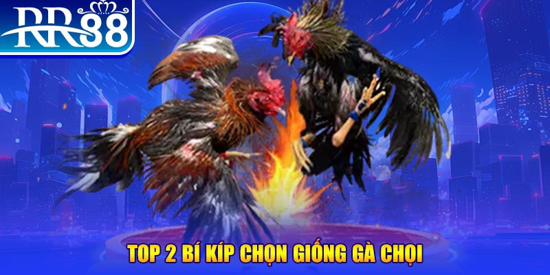 tk88 bắn cá h5