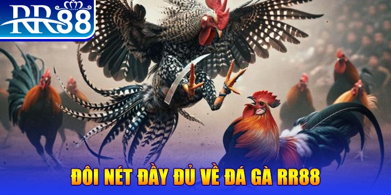 tk88 gà chọi hoà phong