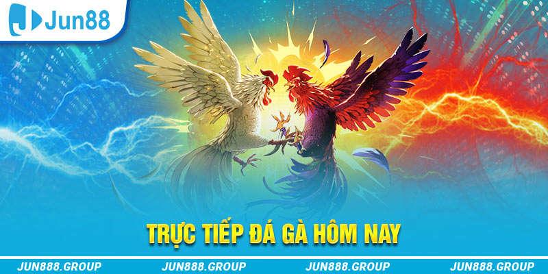 tk88 trực tiếp đá gà thomo