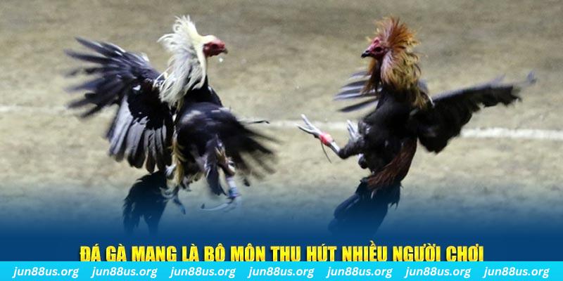tk88 xổ số long an