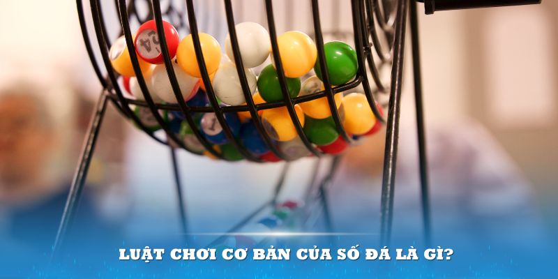 tk88 Đĩa màu ace