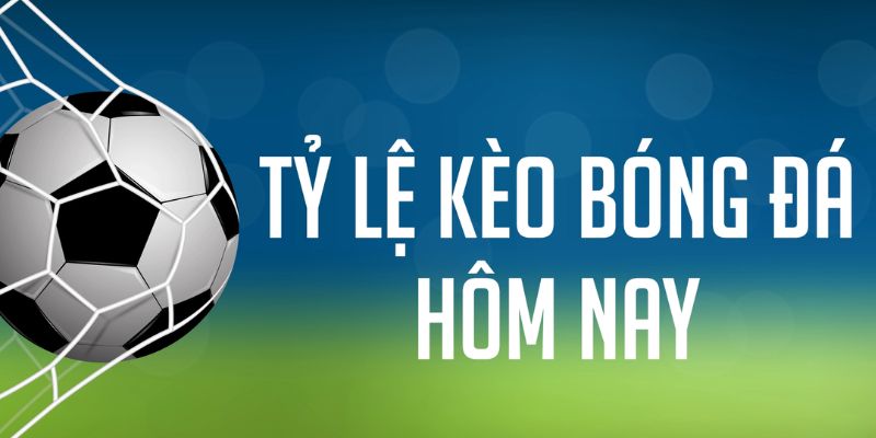 tk88 ÁT CHỦ MÁY HOA QUẢ THẦN TÀI