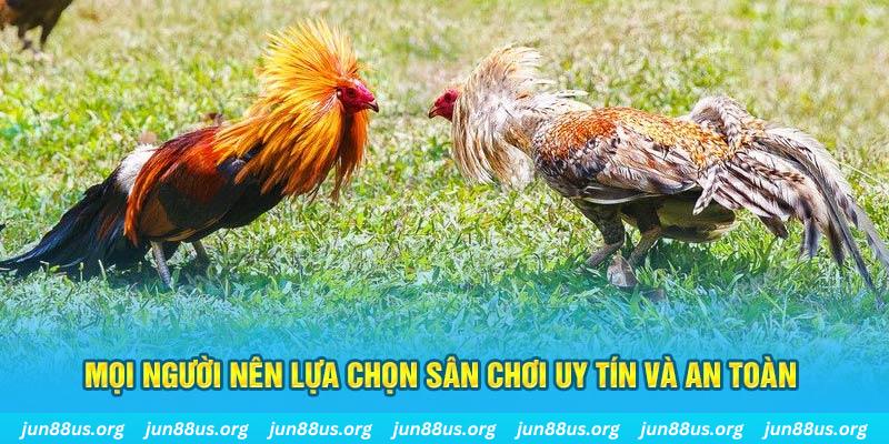 tk88 Tài Xỉu