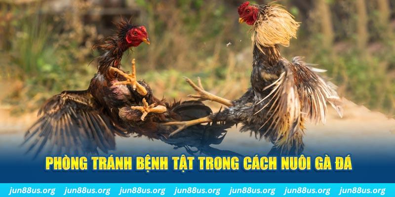 tk88 natural” trong baccarat nghĩa là gì？