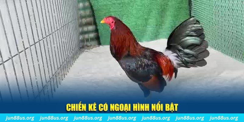tk88 nhạc slot là gì